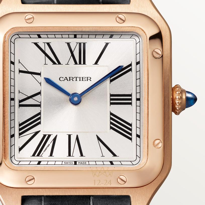 Cartier Santos de Cartier 38.0 мм x 27.5 мм WGSA0117