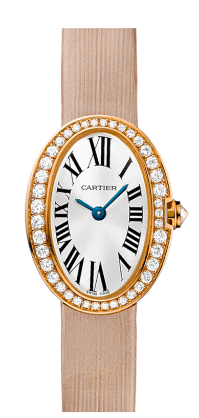 Cartier Mini WB520028