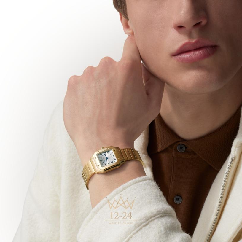 Cartier Santos de Cartier 34.5 мм x 27.0 мм WGSA0107