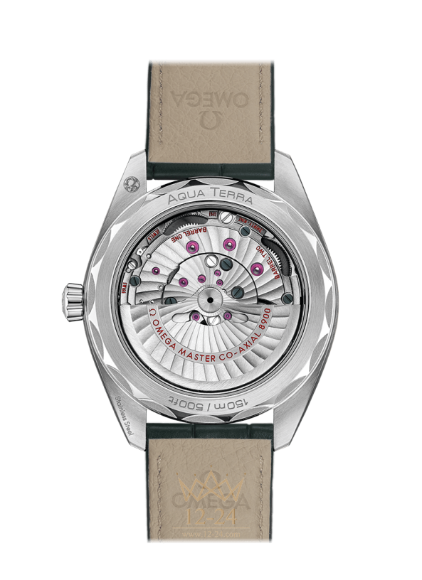 Omega Co-Axial Master Chronometer 41 mm 220.13.41.21.10.001