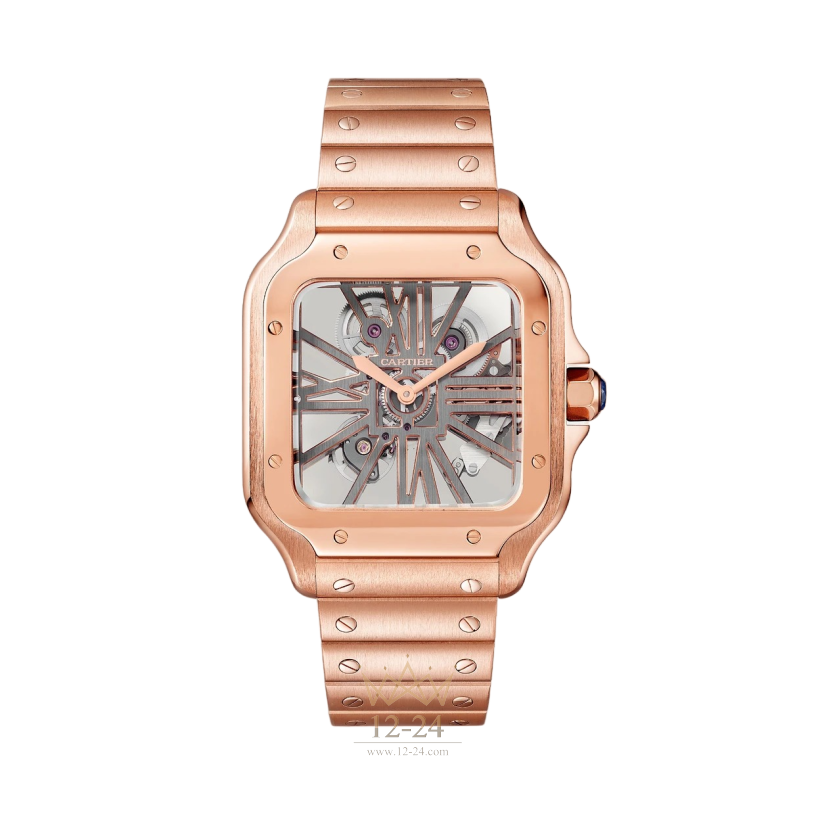 Cartier Santos Skeleton Large Model WHSA0016
