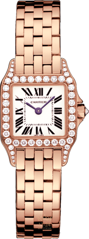 Cartier Demoiselle Small Model WF9008Z8