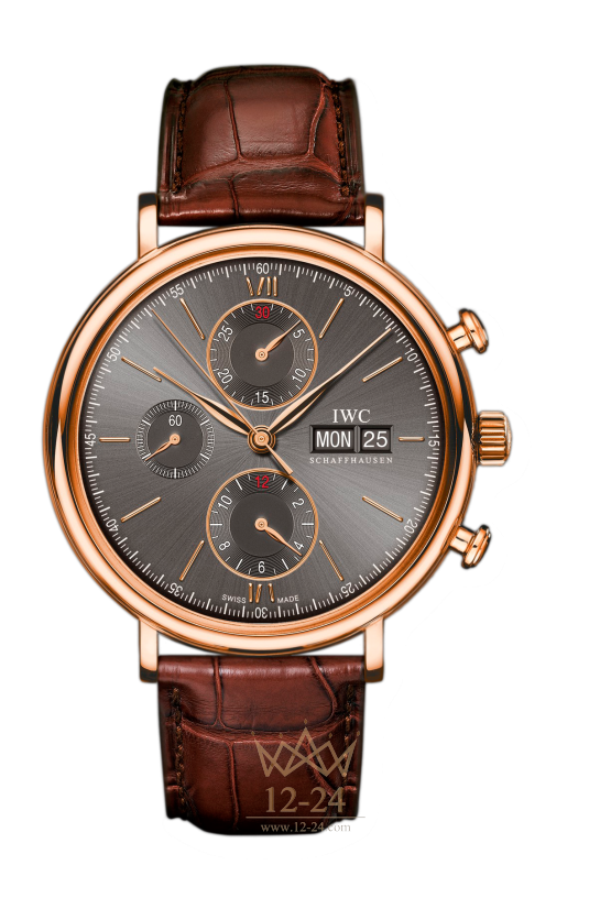 IWC Chronograph IW391021