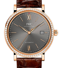 Часы IWC Automatic IW356516 — main thumb