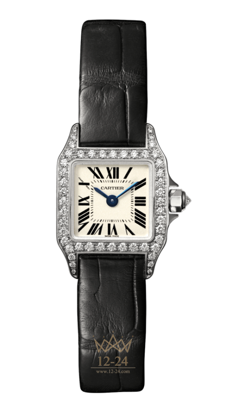 Cartier  Demoiselle Mini Model WF902005