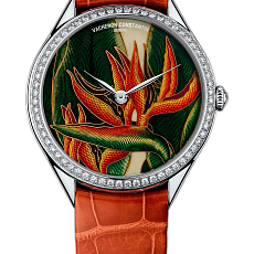 Часы Vacheron Constantin Florilege - Royal Strelitzia 82550/000G-9854 — main thumb