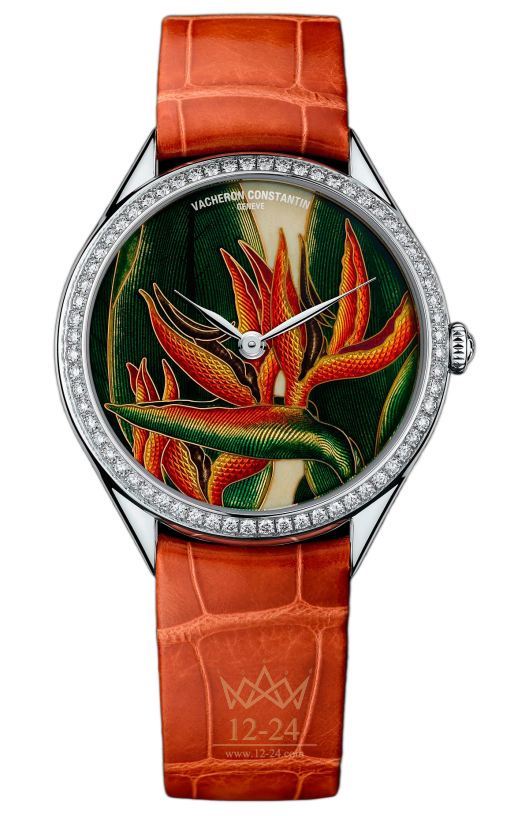 Vacheron Constantin Florilege - Royal Strelitzia 82550/000G-9854