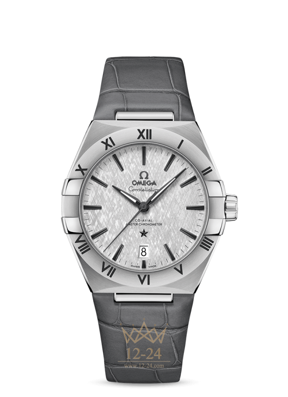 Omega Co Axial Master Chronometer 39 mm 131.13.39.20.06.001