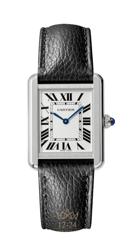 Cartier Solo Small model WSTA0030