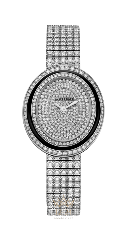 Cartier Small model HPI01049