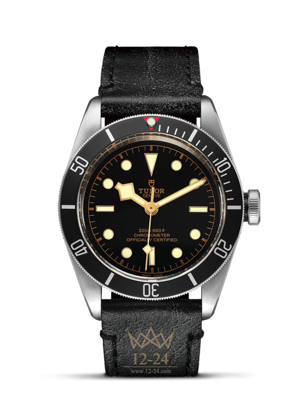 Tudor Black Bay M79230N-0008