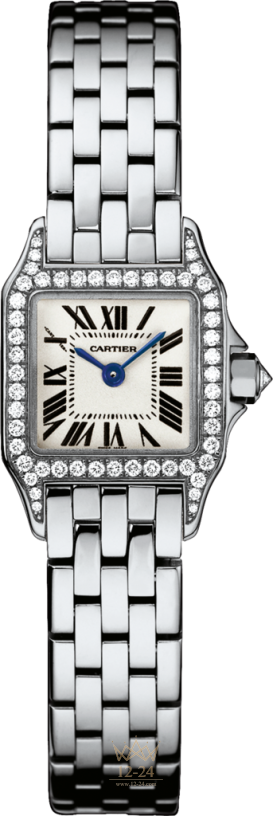 Cartier Demoiselle Mini Model WF9005Y8