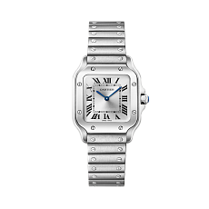 Часы Cartier Cartier Santos de Cartier watch Ref. WSSA0082 WSSA0082 — основная миниатюра