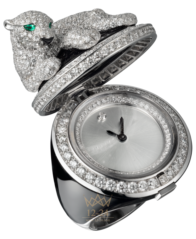 Cartier Hidden Time Motive «Panther» HPI00693