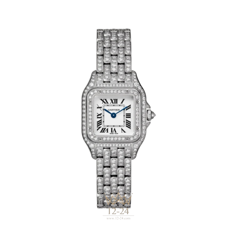 Cartier Small Model HPI01643