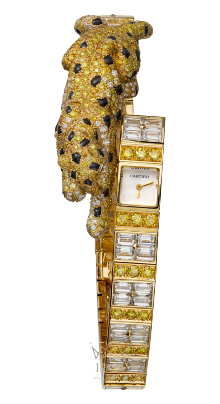 Cartier Visible Time Panthere Asymetrique HPI01135