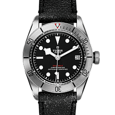 Часы Tudor Black Bay Steel M79730-0003 — основная миниатюра