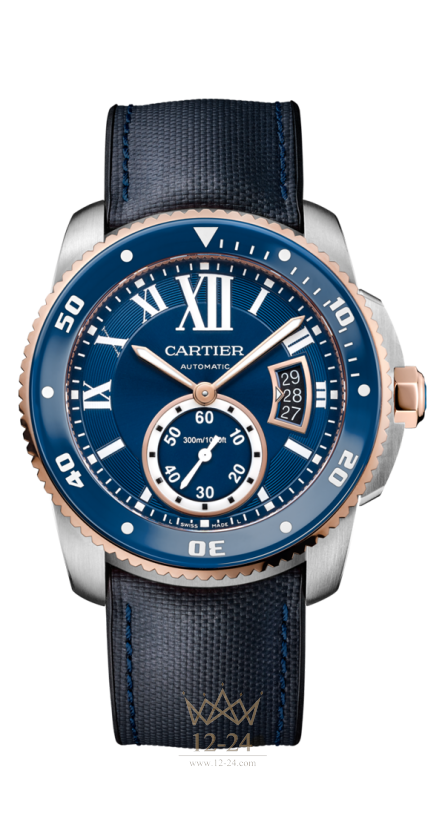 Cartier Diver Blue Dial W2CA0008