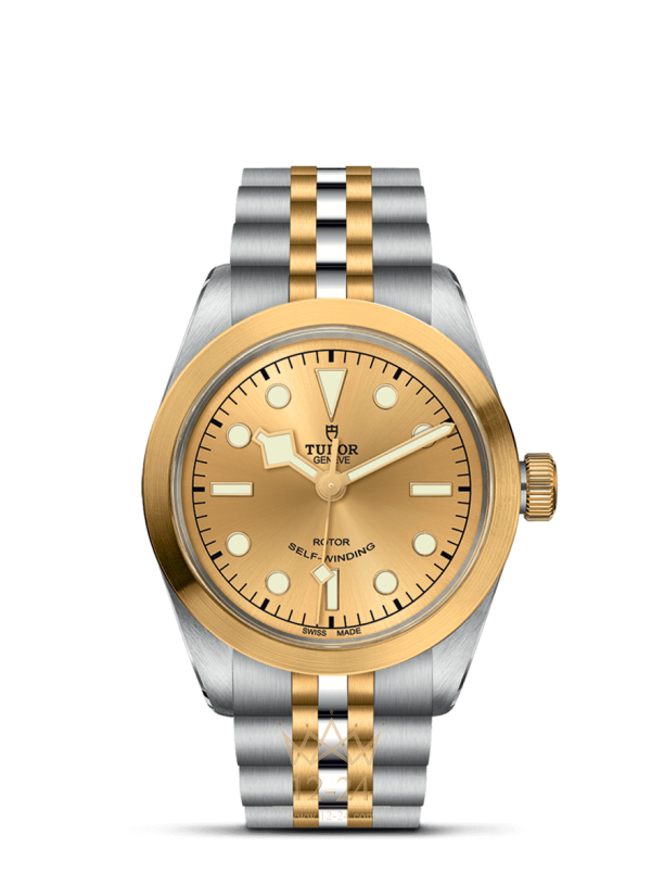 Tudor Black Bay 36 S&amp;G M79503-0002