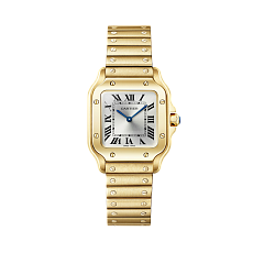 Часы Cartier Cartier Santos de Cartier watch Ref. WGSA0107 WGSA0107 — основная миниатюра