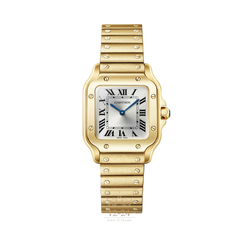 Cartier Santos de Cartier 34.5 мм x 27.0 мм WGSA0107