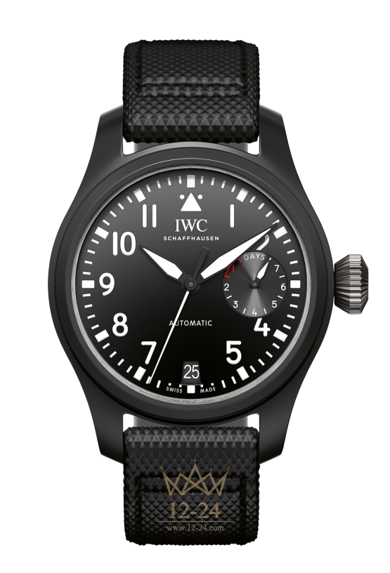 IWC TOP GUN IW502001