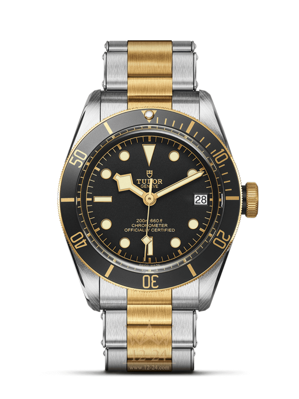 Tudor Black Bay S&amp;G M79733N-0008
